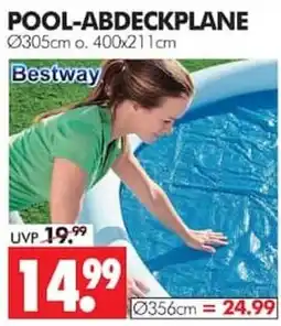 Wreesmann POOL-ABDECKPLANE Bestway Angebot