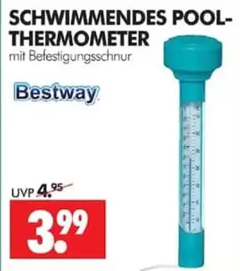 Wreesmann Schwimmendes Pool-Thermometer mit Befestigungsschnur Bestway Angebot