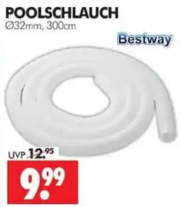 Wreesmann POOLSCHLAUCH Bestway Angebot