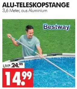 Wreesmann ALU-TELESKOPSTANGE Bestway Angebot
