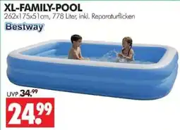 Wreesmann XL-FAMILY-POOL Bestway Angebot