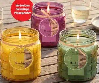 Thomas Philipps Duftkerze Citronella Angebot