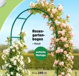 Thomas Philipps Metall-Rosengartenbogen Angebot