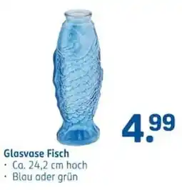 Rossmann Glasvase Fisch Angebot
