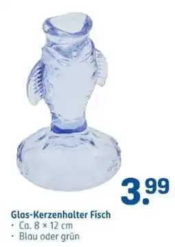 Rossmann Glas-Kerzenhalter Fisch Angebot