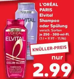 Kaufland L'ORÉAL PARIS Elvital Shampoo oder Spülung Angebot