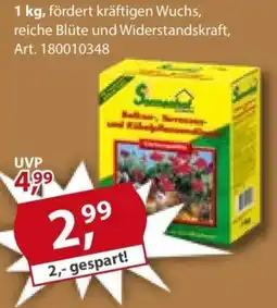 Sonderpreis Baumarkt Sonnenschein Balkon- Terrassen- und Kübelpflanzenmischung Angebot