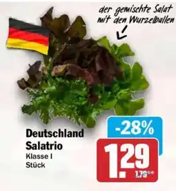 HIT Deutschland Salatrio Angebot