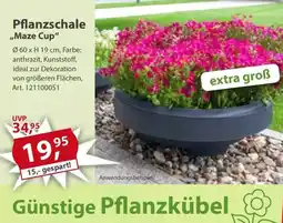 Sonderpreis Baumarkt Pflanzschale „Maze Cup“ Angebot