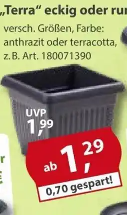 Sonderpreis Baumarkt Terra Pflanztopf Angebot