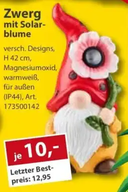 Sonderpreis Baumarkt Zwerg mit Solarblume Angebot