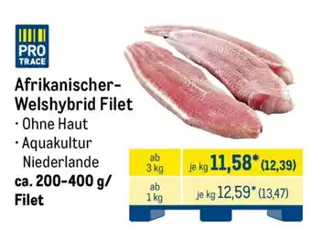 METRO PRO TRACE Afrikanischer-Welshybrid Filet Angebot