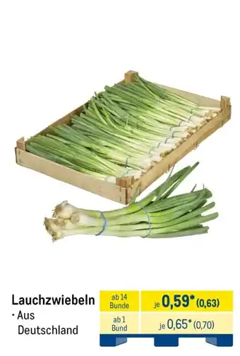 METRO Lauchzwiebeln Angebot