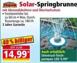 Norma Solar-Springbrunnen Angebot