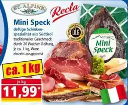 Norma Recla Mini Speck Angebot