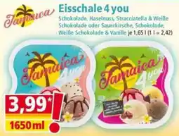 Norma Eisschale 4 you Angebot