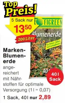 Wiglo Wunderland FIGREEN Blumenerde Angebot