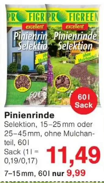 Wiglo Wunderland PROFIGREEN Pinienrinde Selektion Angebot