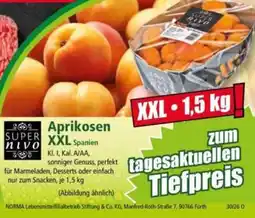 Norma Aprikosen XXL Spanien Angebot