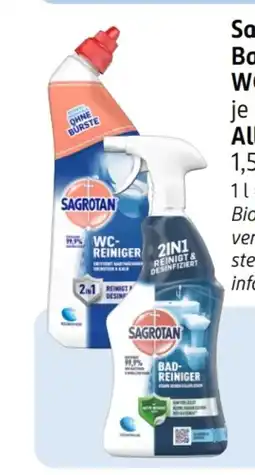 Rossmann Sagrotan Komplett Badreiniger Angebot