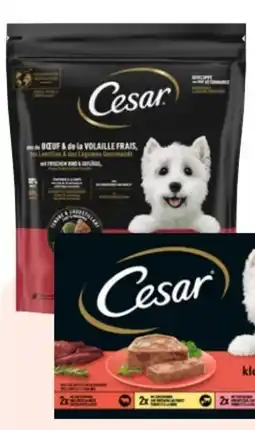 Rossmann Cesar Hundefutter Vital Multipack Angebot