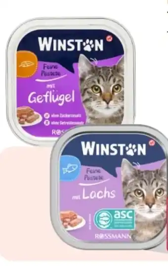 Rossmann Winston Katzen Feine Pastete Angebot