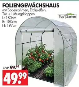 Wreesmann Top garten foliengewächshaus Angebot