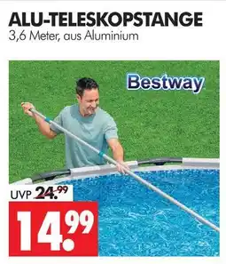 Wreesmann Bestway alu-teleskopstange Angebot