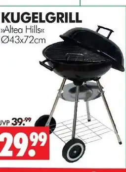 Wreesmann Alted hills kugelgrill Angebot