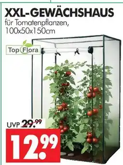 Wreesmann Top flora xxl-gewächshaus Angebot
