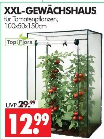 Wreesmann Top flora xxl-gewächshaus Angebot
