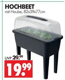 Wreesmann Hochbeet Angebot