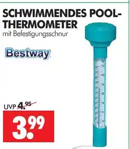 Wreesmann Bestway schwimmendes pool-thermometer Angebot