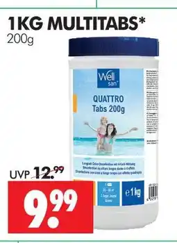 Wreesmann Wellsan 1 kg multitabs Angebot