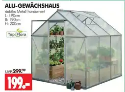 Wreesmann Top flora alu-gewächshaus Angebot