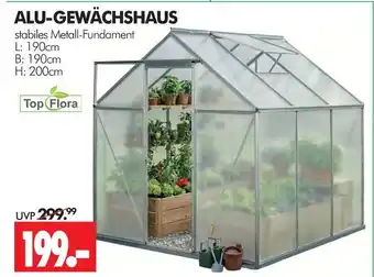 Wreesmann Top flora alu-gewächshaus Angebot
