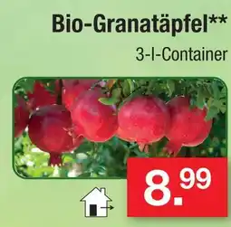 Zimmermann Bio-granatäpfel Angebot