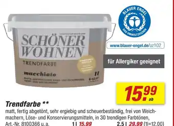 toom Baumarkt Schöner wohnen trendfarbe 1 l Angebot