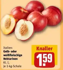 REWE Gelb- oder weißfleischige Nektarinen Angebot