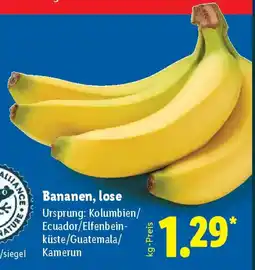 Lidl Bananen, lose Angebot