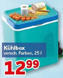 CENTERSHOP Kühlbox Angebot