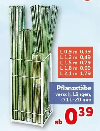 CENTERSHOP Pflanzstäbe Angebot