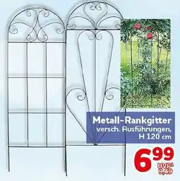 CENTERSHOP Metall-Rankgitter Angebot