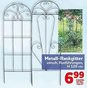 CENTERSHOP Metall-Rankgitter Angebot