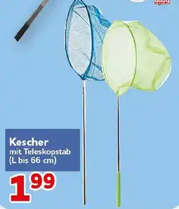 CENTERSHOP Kescher mit Teleskopstab Angebot