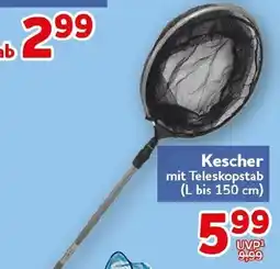 CENTERSHOP Kescher mit Teleskopstab Angebot