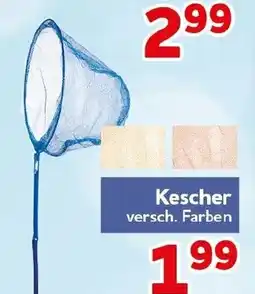 CENTERSHOP Kescher Angebot