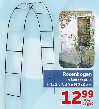 CENTERSHOP Rosenbogen in Leiteroptik Angebot