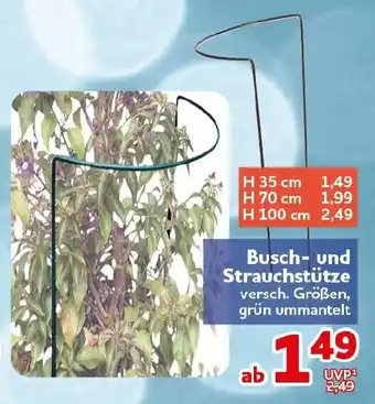 CENTERSHOP Busch- und Strauchstütze Angebot
