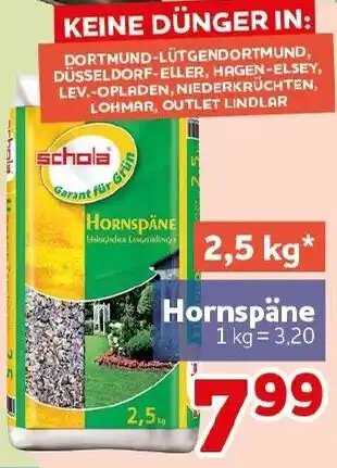 CENTERSHOP schola Hornspäne Angebot